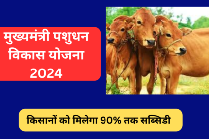 मुख्यमंत्री पशुधन विकास योजना 2024