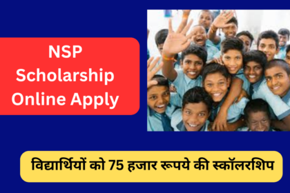 NSP Scholarship Online Apply